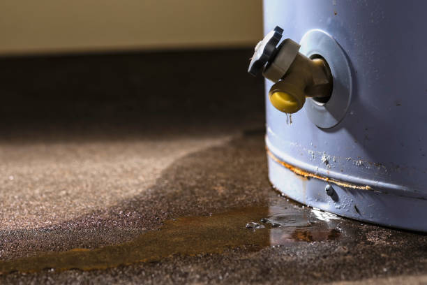 Best Water damage restoration specialists  in Calera, OK