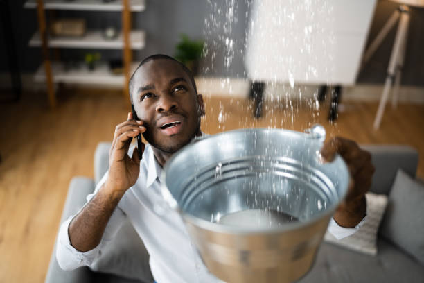 Best Water damage cleanup near me  in Calera, OK
