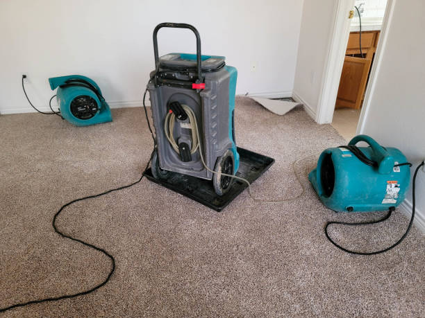 Best Carpet water damage restoration  in Calera, OK