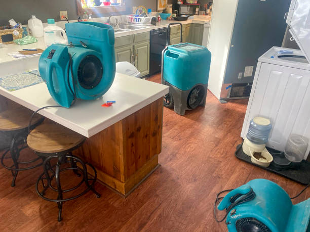Best Water damage restoration near me  in Calera, OK