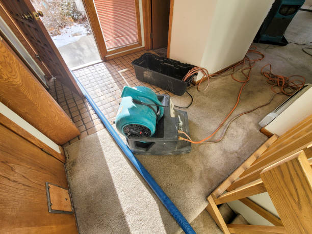 Best Water damage restoration near me  in Calera, OK