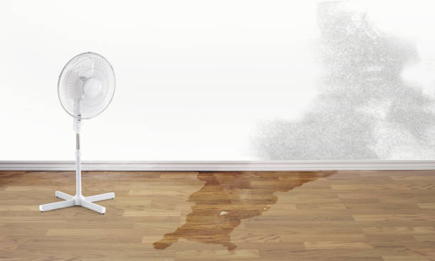 Best Flooded house restoration  in Calera, OK