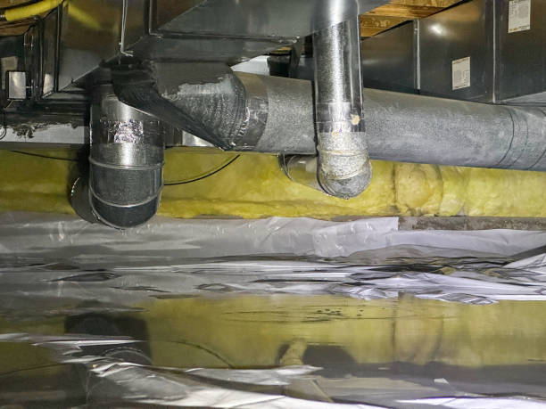 Best Basement water damage restoration  in Calera, OK
