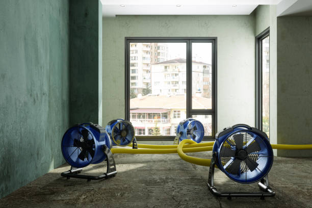 Best Water damage restoration cost  in Calera, OK